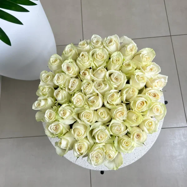 White Roses in A Box - Image 2
